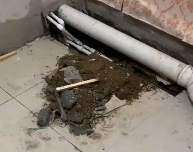 宁明卫生间漏水检测哪家好